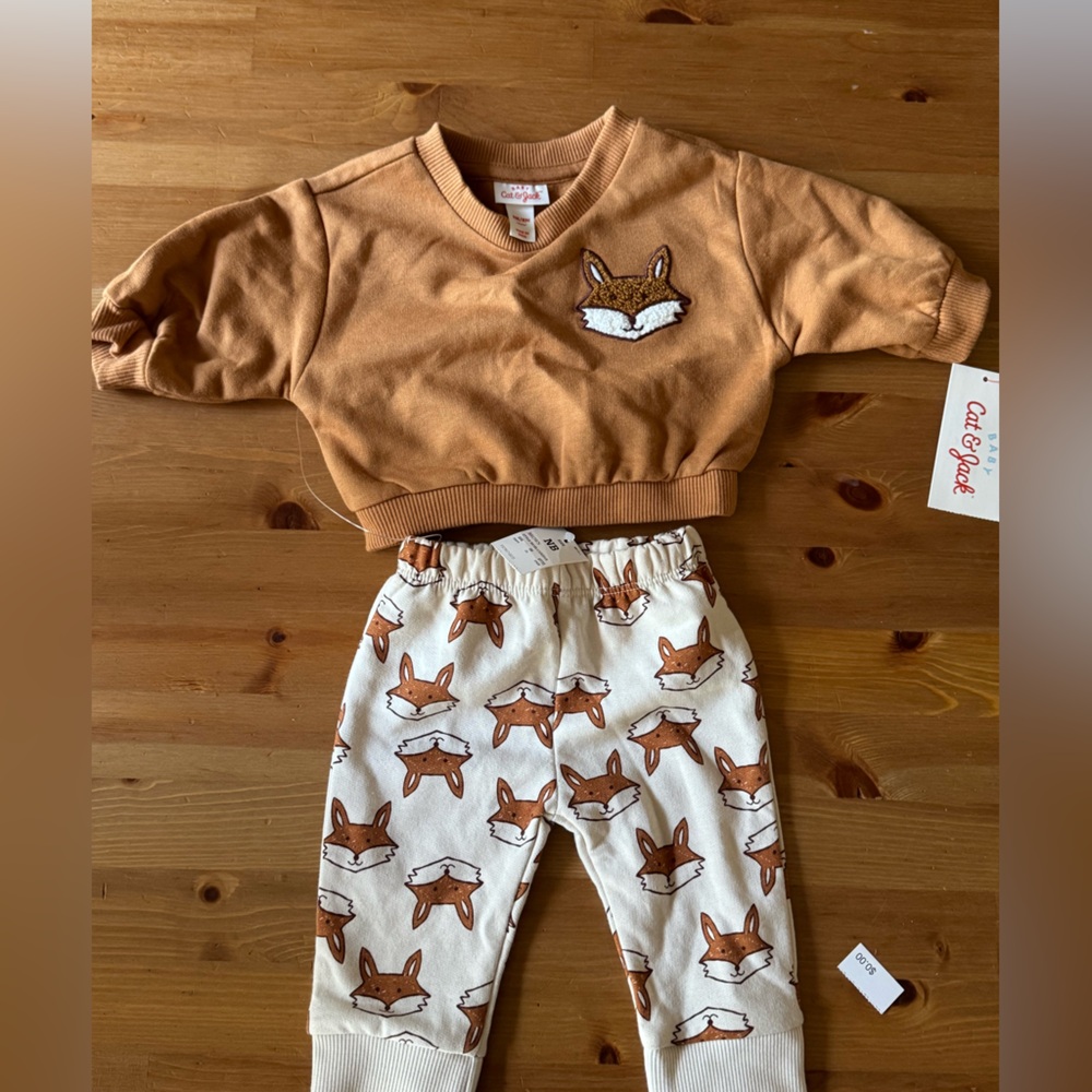Cat & Jack Fox Design Outfit